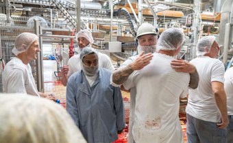 /media/jvcppptx/ringsted-sidste_gris25.jpg?rxy=0.4707791640049575,0.23203588319954221&width=340&height=210&v=1dbba7eafd43fd0