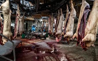 /media/mkmcjvm3/slagteri-genre.jpg?rxy=0.4707791640049575,0.23203588319954221&width=340&height=210&v=1dbba7eafd43fd0